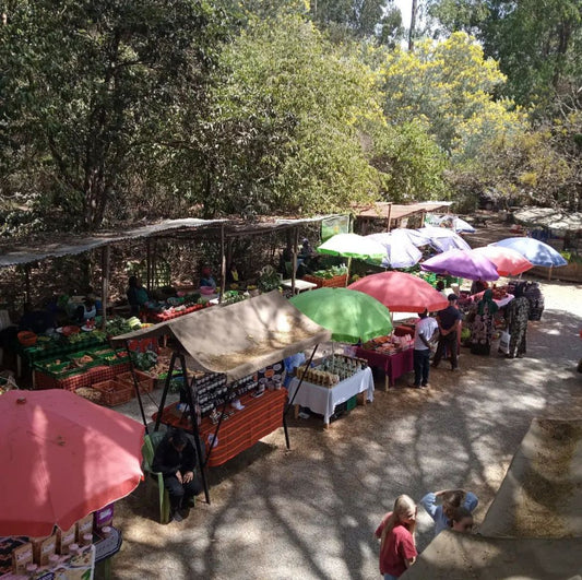 A Glimpse into the Vibrant Organic Farmers Market.